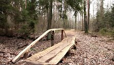 Velniabliūdžio gamtos takas