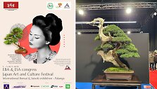 K.Ptakausko bonsai menas