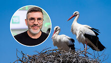 Marius Čepulis papasakojo apie gandrų gyvenimą