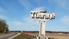 Tauragė