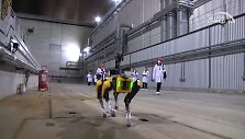 &bdquo;Boston Dynamics Spot&ldquo; robotas Černobylio atominėje elektrinėje