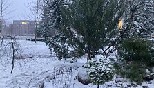 Klaipėdoje trečiadienį ėmė snigti