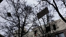 Putų polistirolo lak&scaron;tai medžiuose