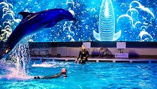 Jau nuo &scaron;io trečiadienio Lietuvos jūrų muziejaus delfinariume pradedama rodyti Kalėdinę pasaką su delfinais. Jį