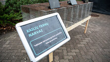 &bdquo;Tu&scaron;ti narvai" organizuojama akcija &bdquo;Kalbėk už gyvūnus"