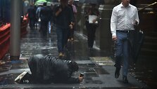Banamiai Australijoje