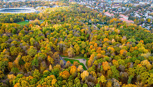 Ąžuolynas