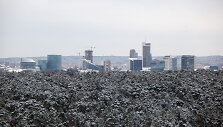 Vilniaus miestas