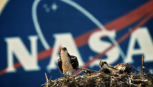 NASA