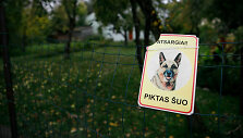 Kiemas i&scaron; kurio pabėgo &scaron;uo