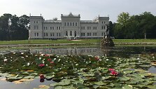 Plungės dvaro tvenkinyje i&scaron;vysite ir retai matomų geltonų vandens lelijų