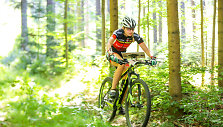 Algirda Mickuvienė