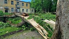 Viesulo nusiaubtas Antanavo dvaro parkas