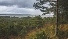 Kur&scaron;ių nerijos nacionalinis parkas