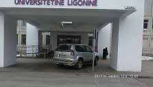 Pažeidėjas prie Respublikinės Vilniaus universitetinės ligoninės