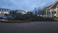 Nulūžo pagrindinė eglė Gargžduose
