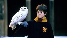 Danielis Radcliffe'as &bdquo;Haris Poteris ir i&scaron;minties akmuo&ldquo;