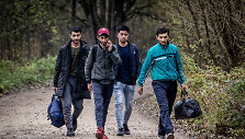 Migrantai, nelegaliai patekę į Lietuvą, eina per Musteikos kaimą (Varėnos r.) 