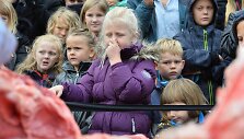 Danijos zoologijos sode skrodžiama liūtė