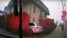 Kelionė neblaivus vairuotojas baigė įvažiavęs į tujų tvorą