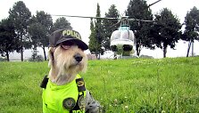 Bogotos policininkų priglaustas benamis &scaron;uo Azulas tapo pareigūnu
