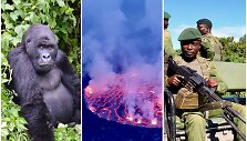 Žygis per Kongo DR: skystos lavos ežeras, retos gorilos ir iki jų lydinti apsauga su kulkosvaidžiais