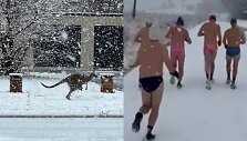 Sniegas Australijoje