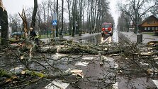 Temos iliustracija