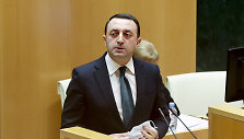 Iraklijus Gariba&scaron;vilis