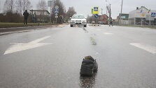 Avarijos vietoje