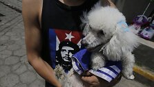 Nikaragvoje &scaron;ventinami naminiai augintiniai