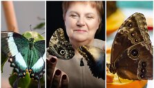 Jūratė Kančiauskienė su drugeliais