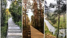 Gražiausi pažintiniai takai Lietuvoje