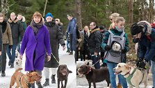 &bdquo;Labradorų žygis Labanoro girioje&ldquo;