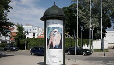 Medos Norbutaitės kūrinys