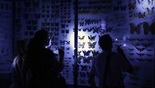 Muziejų naktis visoje Europoje &ndash; itin laukiamas renginys