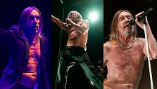 Iggy Popas