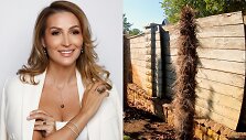 Diana Bosas kovoja su nei&scaron;gyvenusių palmių pardavėjais