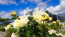 'Academie d'Orleans'