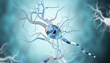 Neuronai