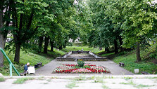 Kauko alėja