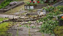 Audros padariniai Sapiegų parke ir Antakalnio kapinėse
