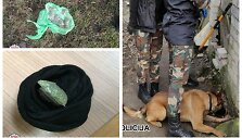Smūgis Tauragės narkomafijai