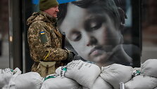 Ukrainos karys
