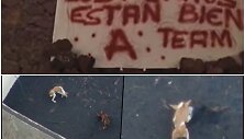 &bdquo;A komanda&ldquo; paslaptingos operacijos metu i&scaron;gelbėjo La Palmoje lavos apsuptus &scaron;unis