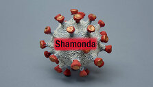 &bdquo;Shamonda&ldquo; virusas/ Iliustratyvinė nuotr.