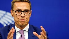 Alexanderis Stubbas
