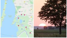Kur rasti meldinę nendrinukę