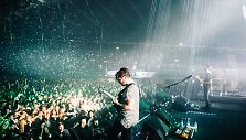 &bdquo;Foals&ldquo;