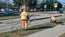 Vietoje metalinių eismo saugumo atitvarų Vilniuje bus sodinami krūmai